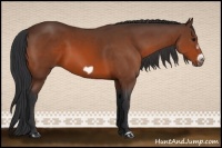 Horse Color:Bay Frame
