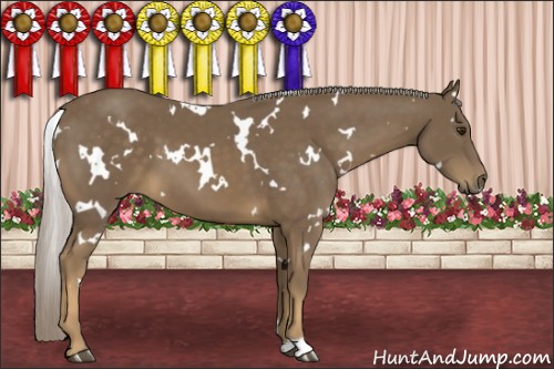 Horse Color:White Spotted Chocolate Palomino