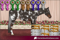 Horse Color:White Spotted Liver Chestnut 