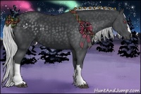 Horse Color:Silver Black Chinchilla 