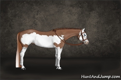 Horse Color:Red Roan Splash Frame