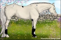 Horse Color:Cremello Dun Tobiano