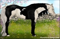 Horse Color:Chocolate Palomino Pearl Dun Tobiano