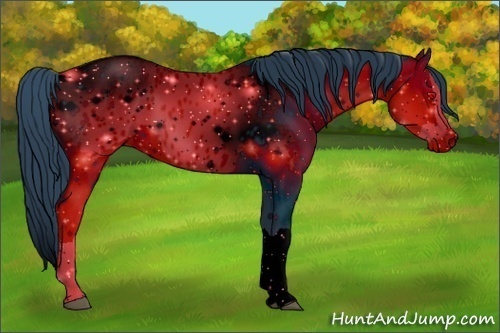 Horse Color:ERROR: UNKNOWN ANOMALY