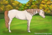 Horse Color:Buckskin Roan Pearl 