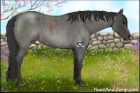 Horse Color:Smoky Blue Roan Rabicano