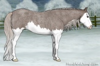 Horse Color:Silver Blue Roan Splash 