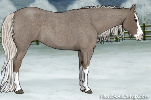 Horse Color:Silver Blue Roan Splash