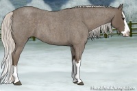 Horse Color:Silver Blue Roan Splash
