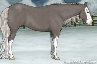 Horse Color:Silver Blue Roan Splash