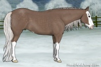 Horse Color:Silver Blue Roan Splash