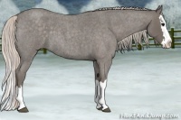 Horse Color:Silver Blue Roan Splash