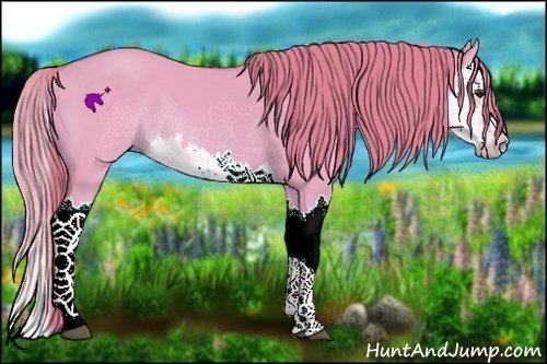 Horse Color:Watercolor Red Dun Splash