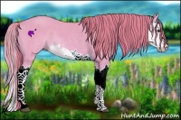 Horse Color:Watercolor Red Dun Splash