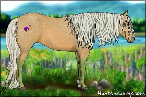 Horse Color:Watercolor Silver Bay Roan 