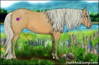 Horse Color:Watercolor Silver Bay Roan 