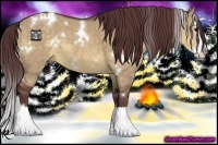 Horse Color:White Spotted Chocolate Buckskin Dun Splash 