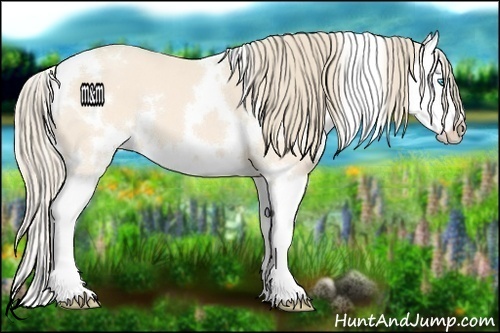 Horse Color:White Spotted Perlino Splash 