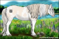 Horse Color:White Spotted Perlino Splash 