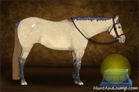 Horse Color:Buckskin Dun Appaloosa 