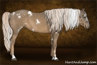 Horse Color:White Spotted Chocolate Palomino Sabino
