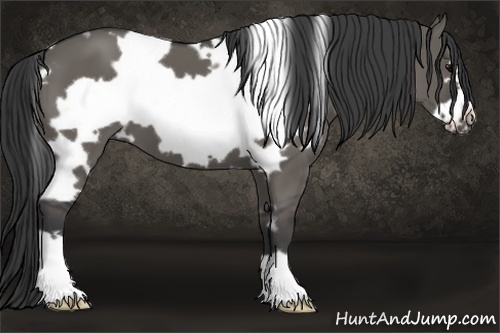 Horse Color:White Spotted Grullo Frame 