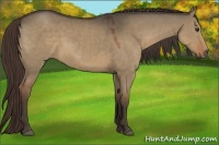 Horse Color:Liver Red Dun 