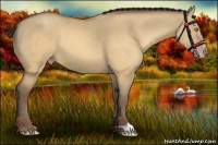 Horse Color:Sable Champagne Dun 