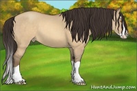 Horse Color:Sable Champagne Dun Splash 