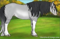 Horse Color:Sable Champagne Chinchilla Dun Splash 