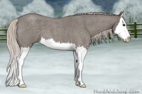 Horse Color:Silver Blue Roan Splash