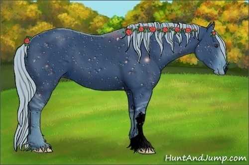 Horse Color:ERROR: UNKNOWN ANOMALY