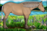 Horse Color:Silver Buckskin 