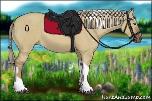 Horse Color:Chocolate Palomino Dun Tobiano 