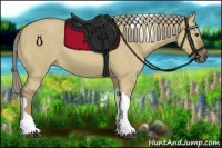 Horse Color:Chocolate Palomino Dun Tobiano 