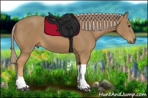 Horse Color:Palomino Tobiano 