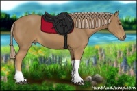 Horse Color:Palomino Tobiano 