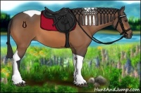 Horse Color:Buckskin Tobiano 