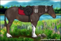 Horse Color:Liver Chestnut Tobiano