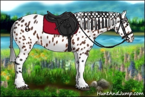 Horse Color:Bay Tobiano Leopard