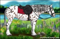Horse Color:Bay Tobiano Leopard 