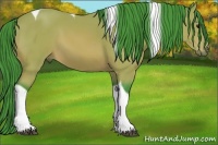 Horse Color:Watercolor Bay Tobiano
