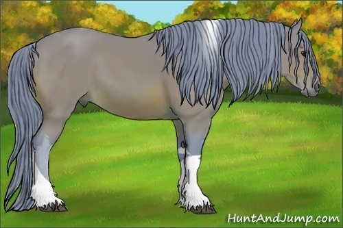 Horse Color:Watercolor Bay Tobiano