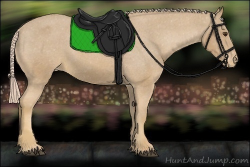 Horse Color:Palomino Varnish