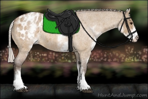 Horse Color:White Spotted Silver Bay Roan Dun Appaloosa