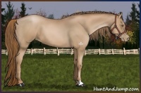 Horse Color:Liver Chestnut Pearl 