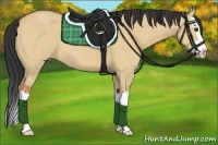 Horse Color:Bay Dun Splash 