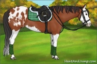 Horse Color:Bay Splash Blanket 