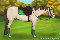 Horse Color:Amber Cream Champagne Roan 