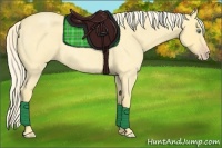 Horse Color:Gold Cream Champagne Roan Dun